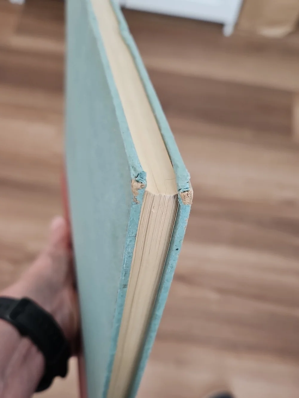 A Treasury of Stephen Foster Song Book ~ First Printing
